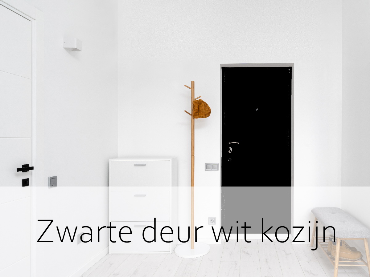 zwarte deur wit kozijn 